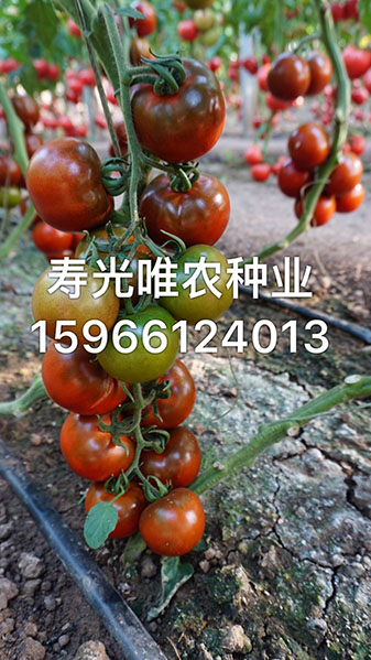 手機(jī)傳輸圖片IMG_2002.jpg
